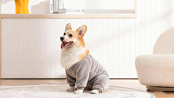 华峰集团官方网站建设