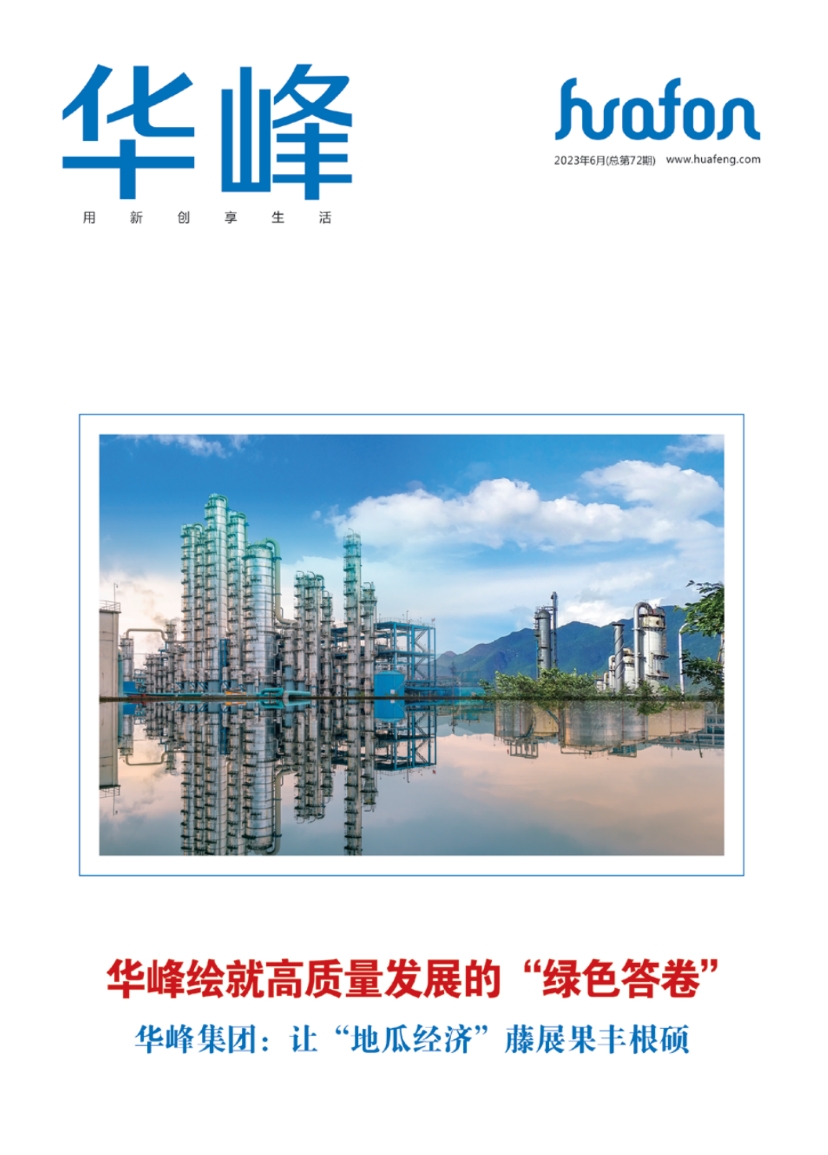 华峰集团官方网站建设