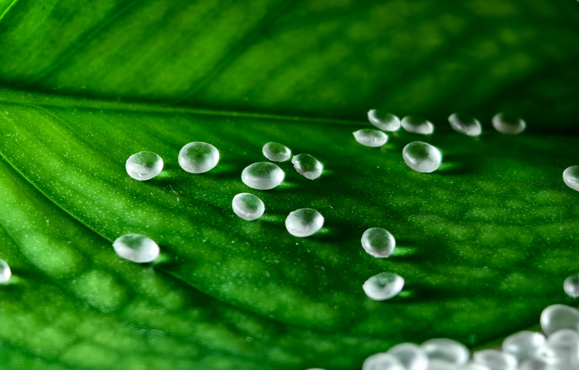 华峰集团官方网站建设