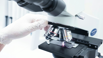 华峰集团官方网站建设