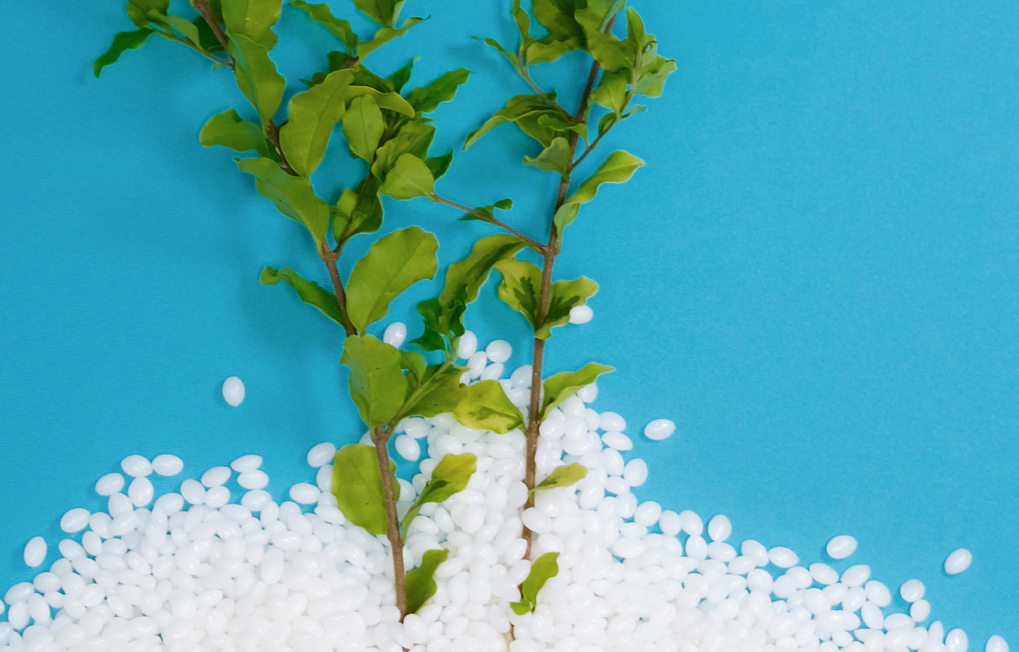 华峰集团官方网站建设