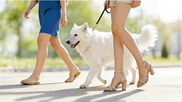 华峰集团官方网站建设