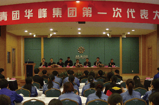 华峰集团官方网站建设